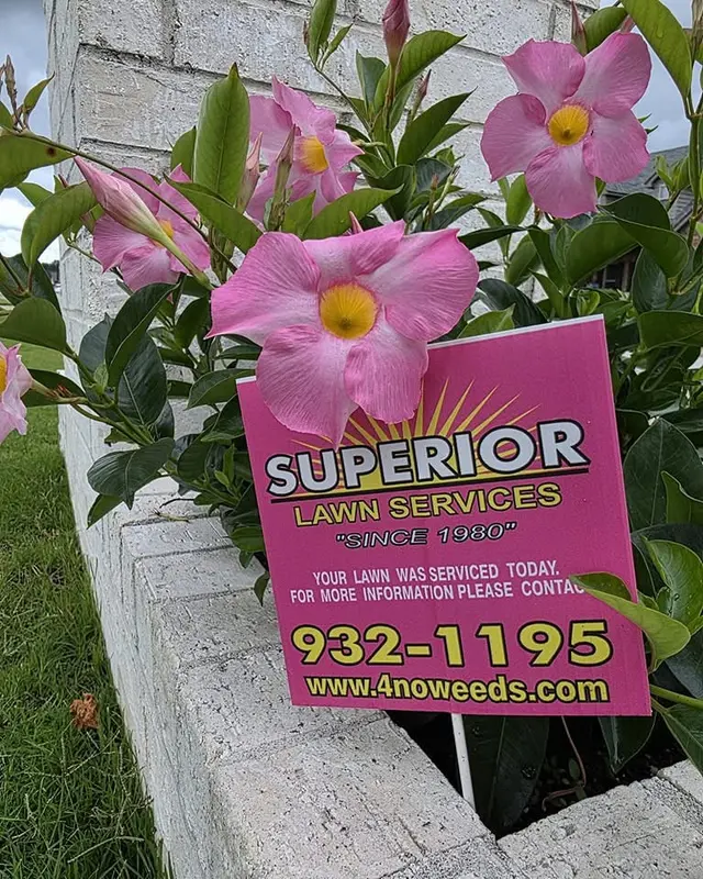 Superior Lawn Services — photo from the business 5