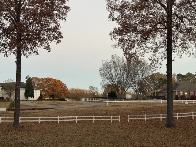J & K Lawn & Tree Service — customer photo 12