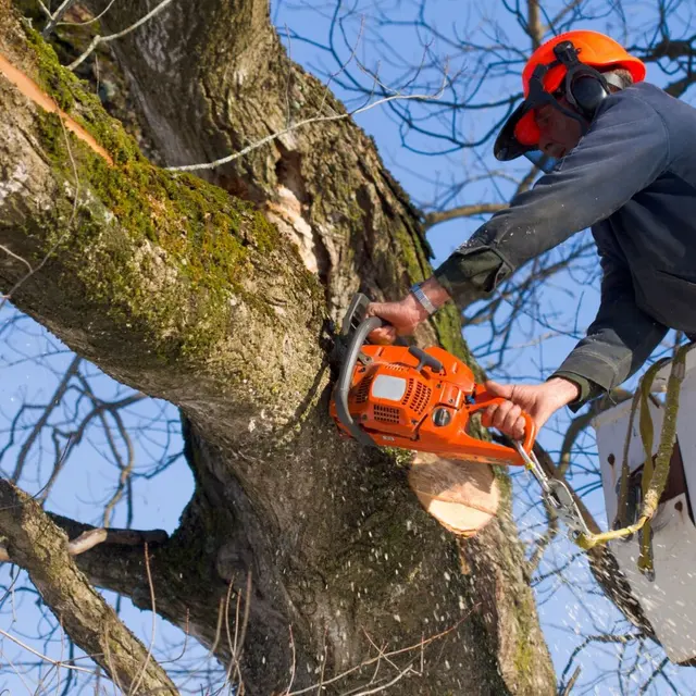 J & K Lawn & Tree Service — photo from the business 9