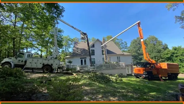J & K Lawn & Tree Service — photo from the business 1