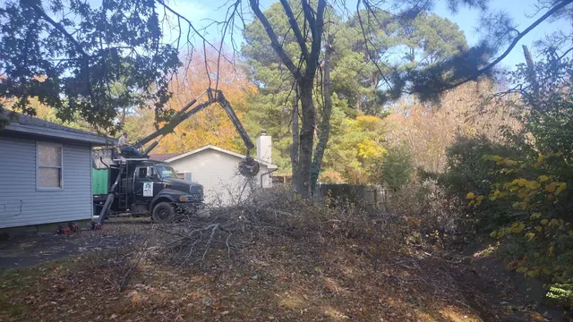 J & K Lawn & Tree Service — customer photo 6