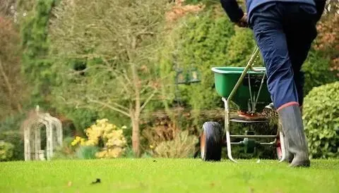 J & K Lawn & Tree Service — photo from the business 11
