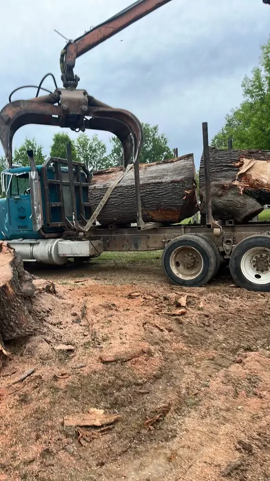 J & K Lawn & Tree Service — photo from the business 8