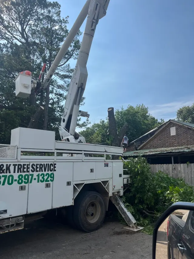 J & K Lawn & Tree Service — photo from the business 4