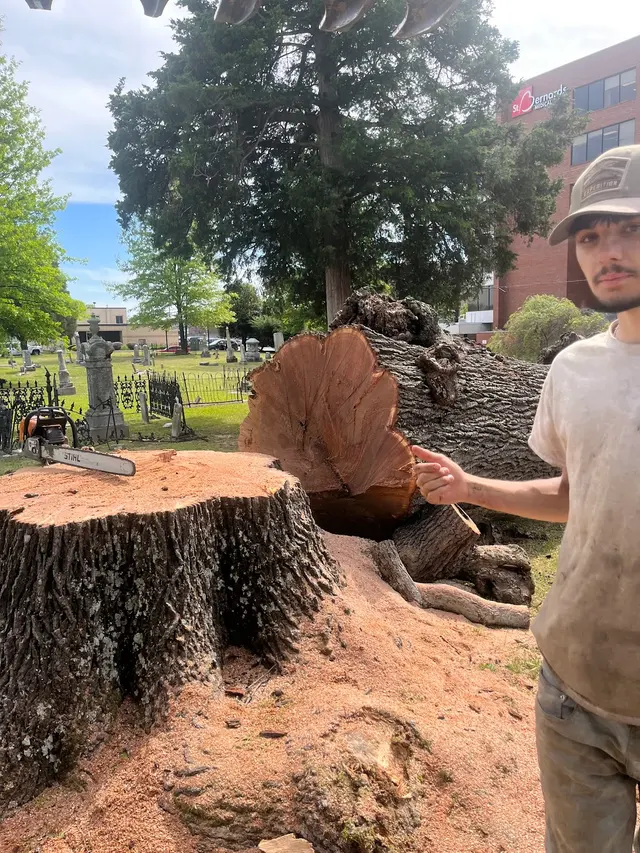 J & K Lawn & Tree Service — photo from the business 3