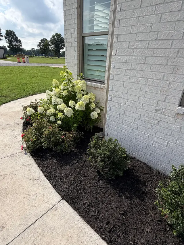Augusta Lawn Care Services — customer photo 10