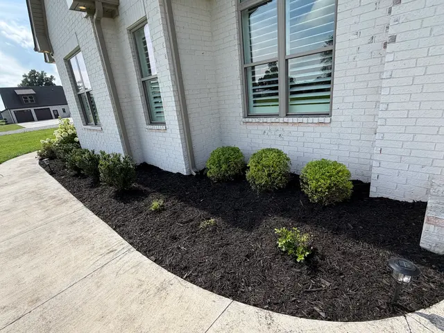Customer photo of work by Augusta Lawn Care Services, from Jada Layman's review