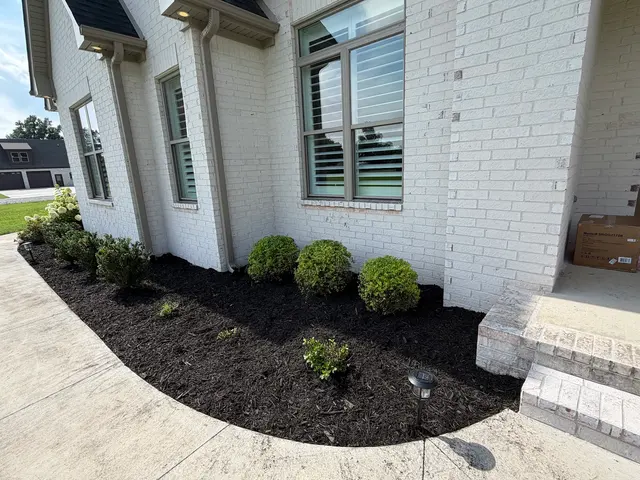 Customer photo of work by Augusta Lawn Care Services, from Jada Layman's review