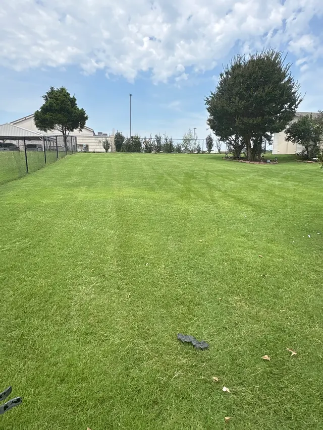 Customer photo of work by Augusta Lawn Care Services, from Betty Louy's review