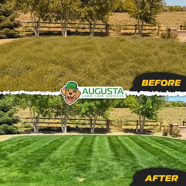 Augusta Lawn Care Services — photo from the business 4
