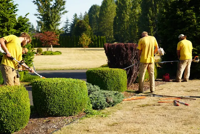 Augusta Lawn Care Services — photo from the business 12