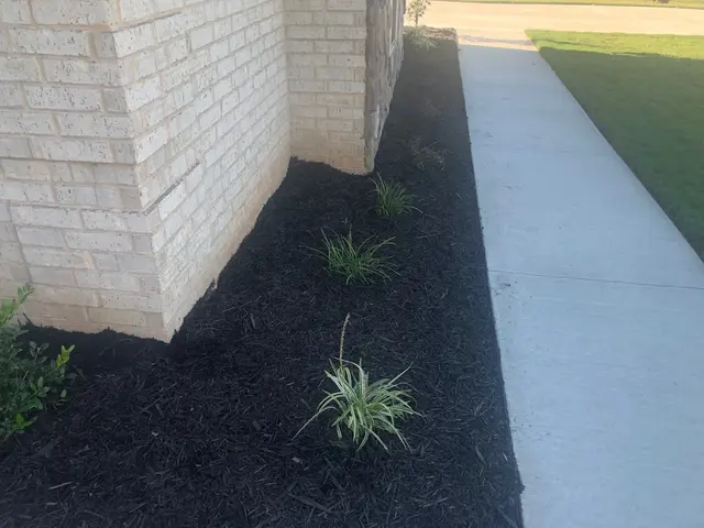 Customer photo from Ronnie's review