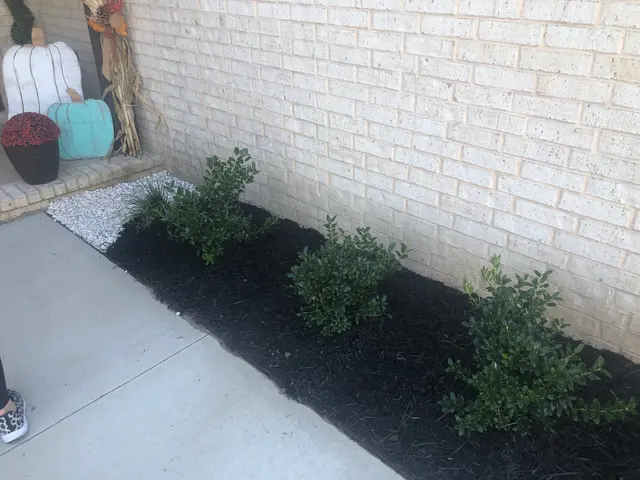 Customer photo from Ronnie's review