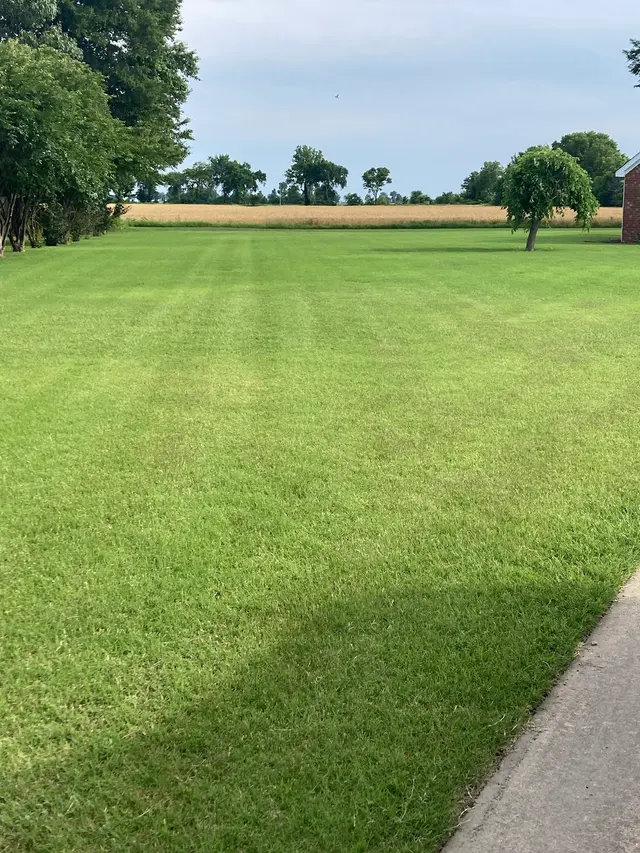 Jones Lawn Care LLC — customer photo 1