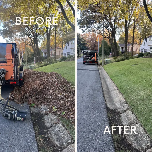 Excellent Lawn Care — photo from the business 5