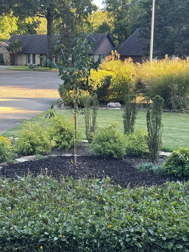Excellent Lawn Care — customer photo 4