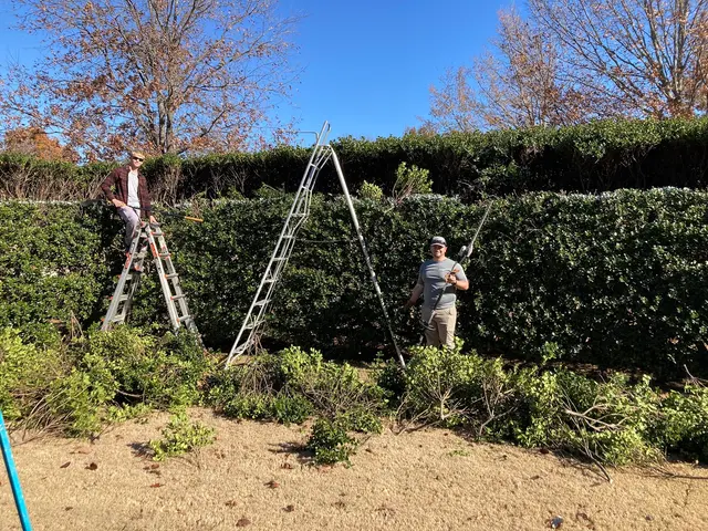 Excellent Lawn Care — photo from the business 1