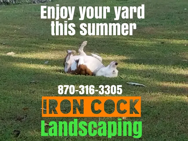 Iron Cock Landscaping — photo from the business 8