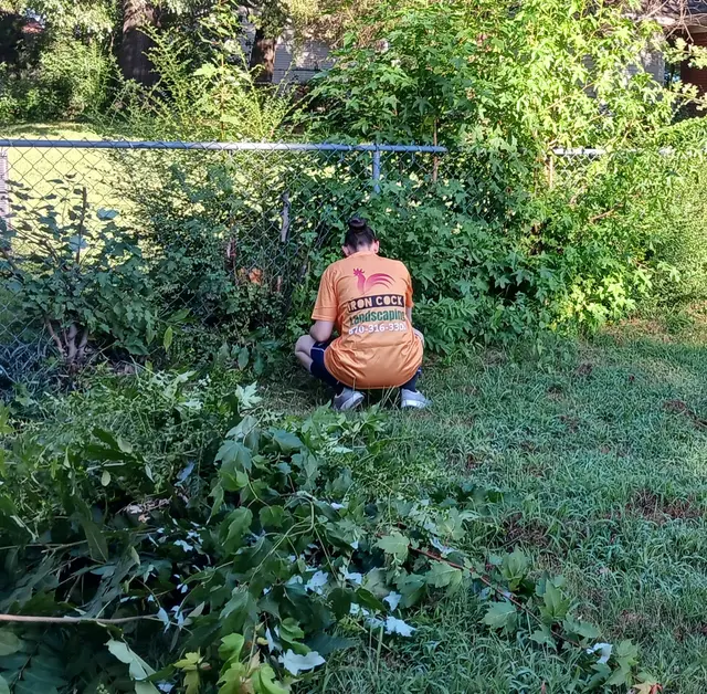 Iron Cock Landscaping — photo from the business 6