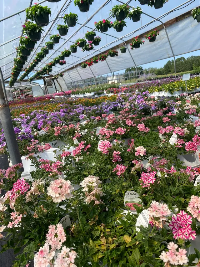 Stallings Outdoors, LLC — photo from the business 7