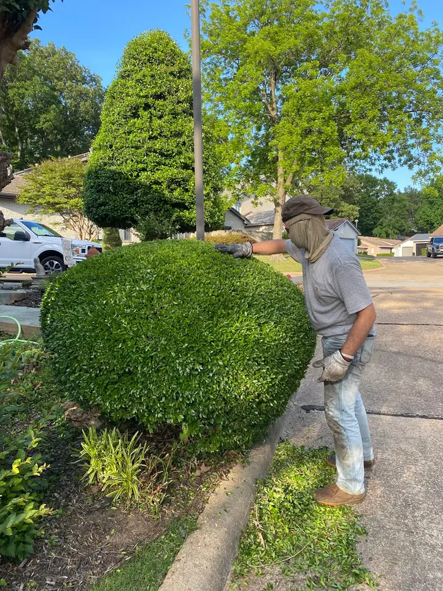 Stallings Outdoors, LLC — photo from the business 8