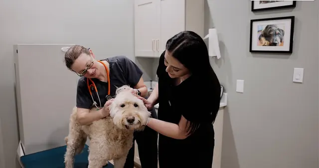 Hub City Animal Hospital — photo from the business 5