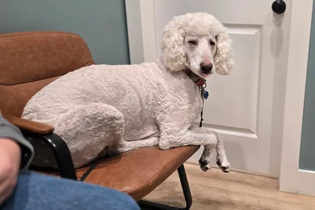 Hub City Animal Hospital — customer photo 7
