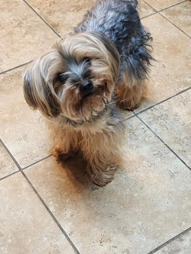 Hub City Animal Hospital — customer photo 3