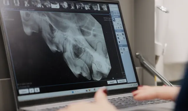 Hub City Animal Hospital — photo from the business 12