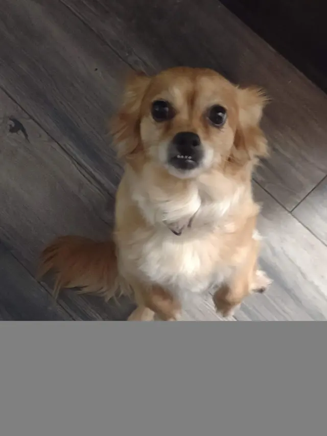 Hub City Animal Hospital — customer photo 8