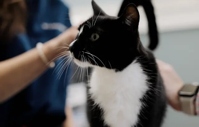 Hub City Animal Hospital — photo from the business 6