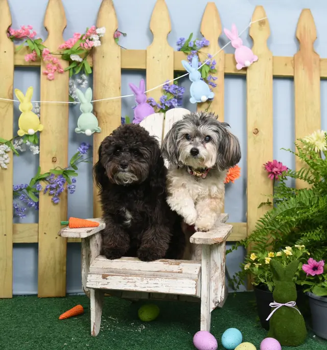 Northside Animal Clinic — customer photo 6
