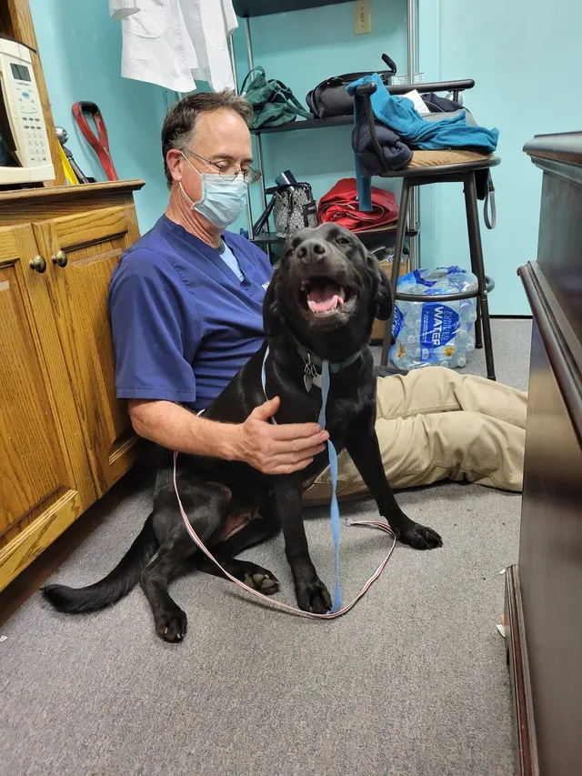 Parkway Animal Hospital — photo from the business 1