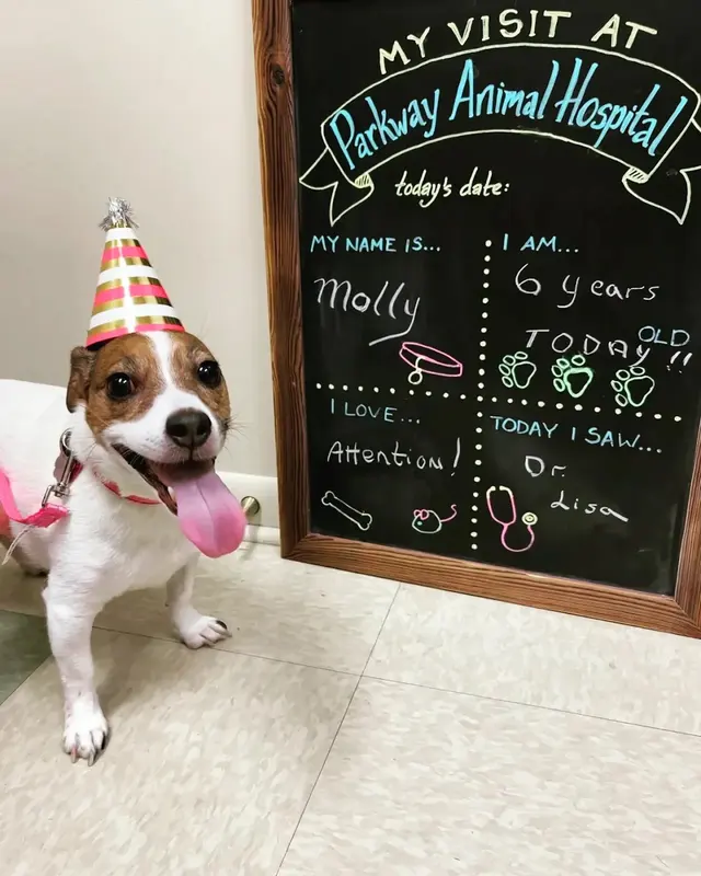Parkway Animal Hospital — photo from the business 5