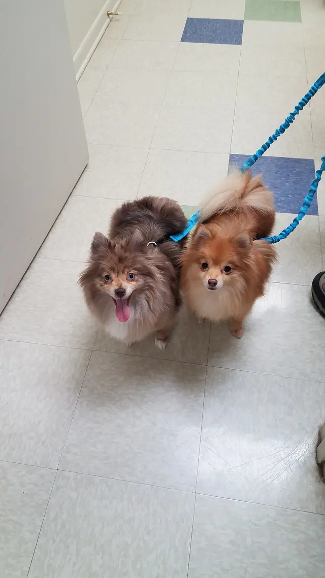 Parkway Animal Hospital — photo from the business 7