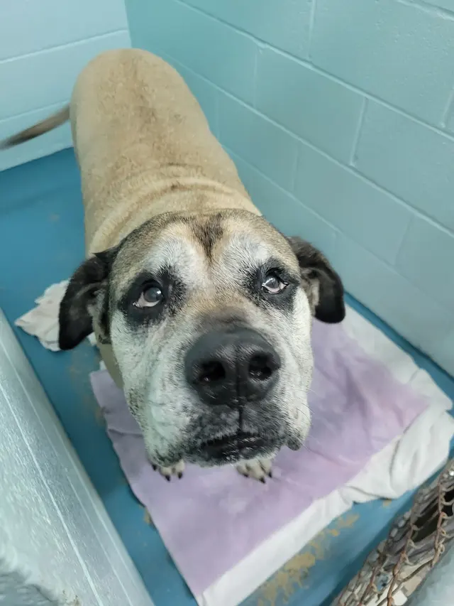 Parkway Animal Hospital — photo from the business 3