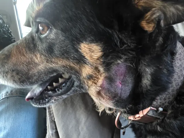 Customer photo of work by Parkway Animal Hospital, from ashley woodson's review
