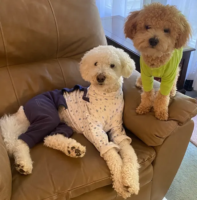 Customer photo of work by Parkway Animal Hospital, from E Parker's review