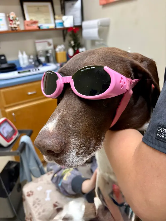 Parkway Animal Hospital — customer photo 11