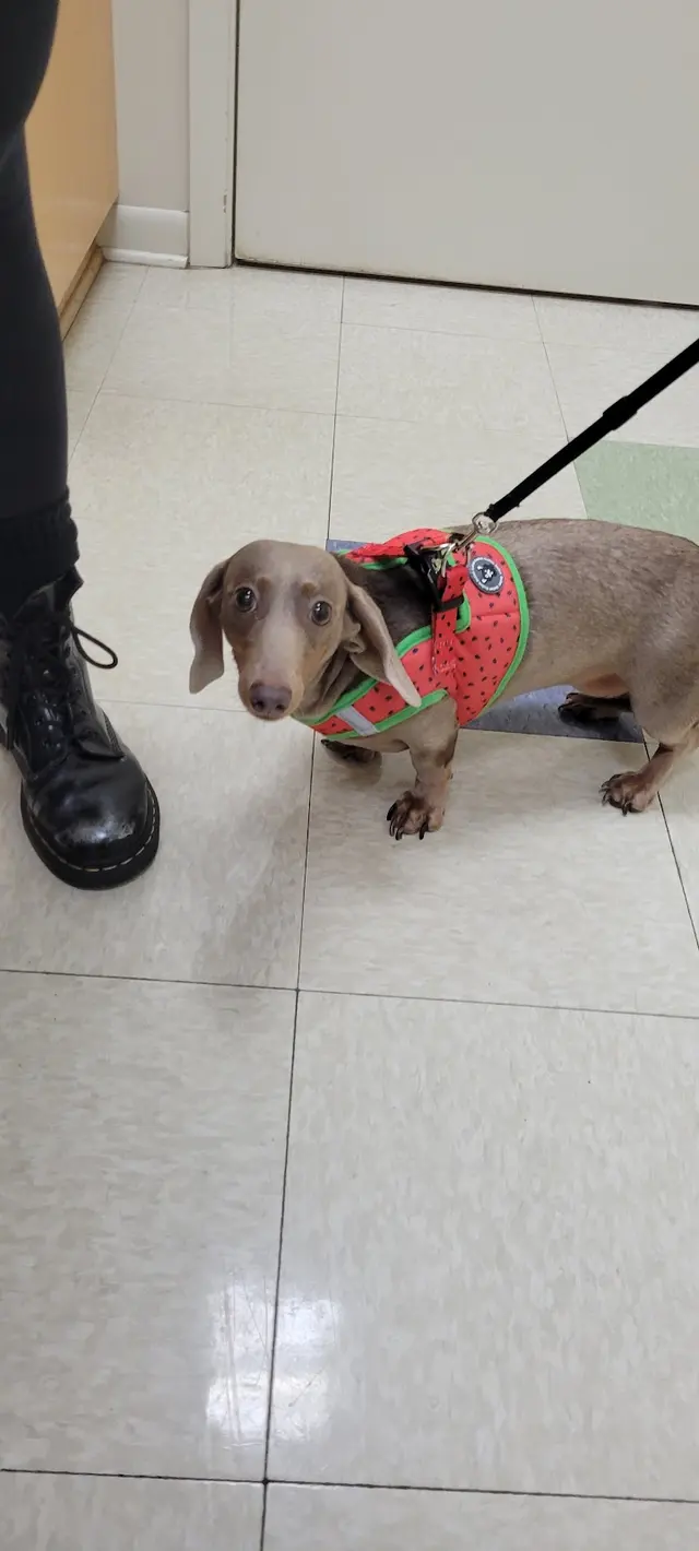 Parkway Animal Hospital — photo from the business 8