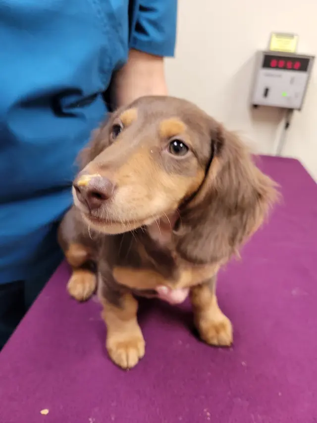 Parkway Animal Hospital — photo from the business 6
