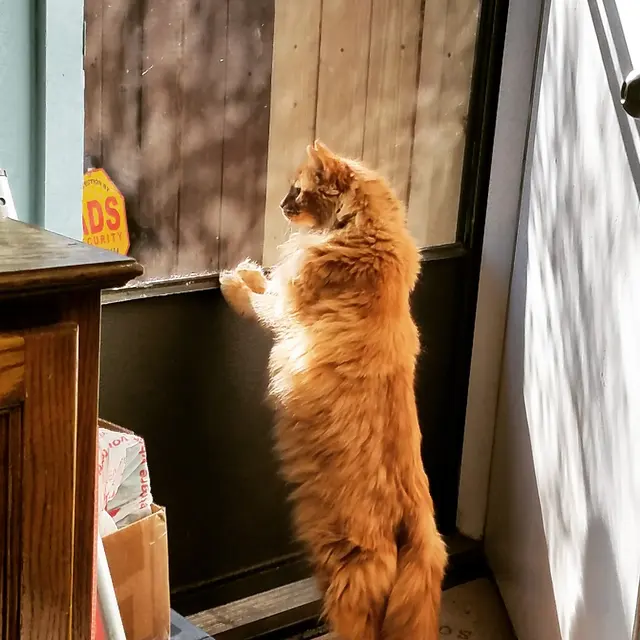 Parkway Animal Hospital — photo from the business 9