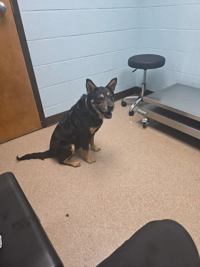Parkway Animal Hospital — customer photo 10
