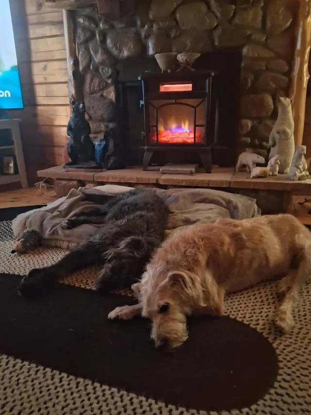 Carlton Animal Clinic — customer photo 11