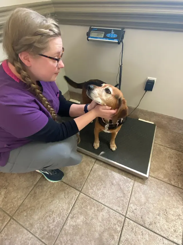 Carlton Animal Clinic — photo from the business 1