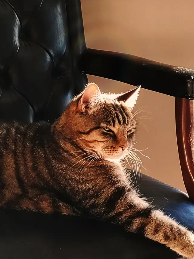 Carlton Animal Clinic — customer photo 2