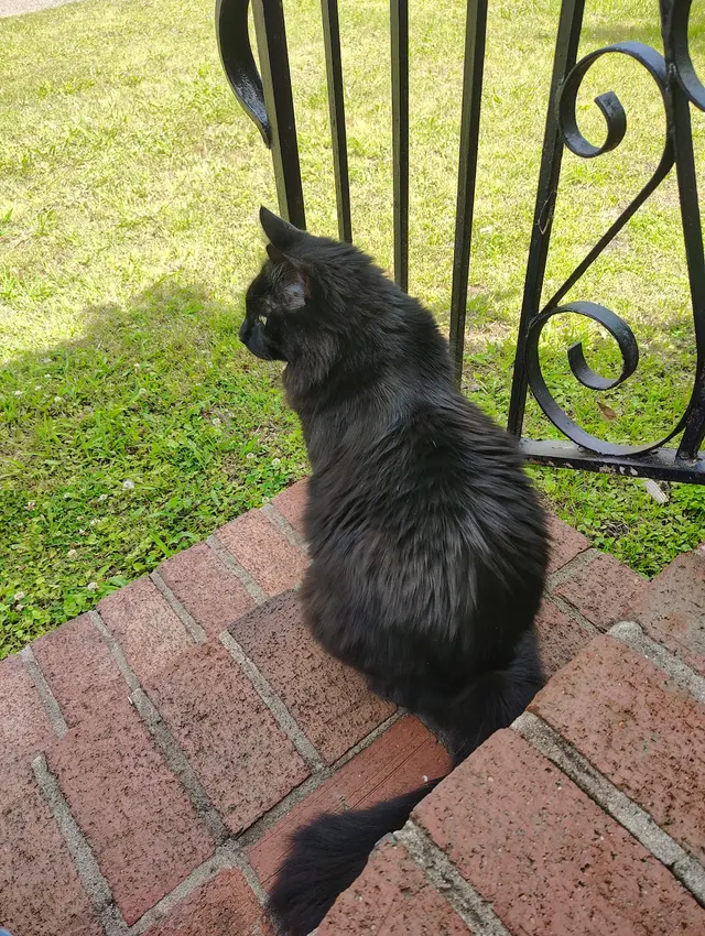 Carlton Animal Clinic — customer photo 6