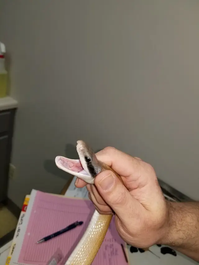 North Madison Animal Hospital — customer photo 7