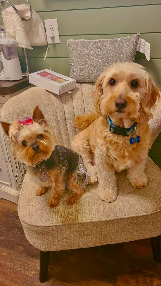 North Madison Animal Hospital — customer photo 10
