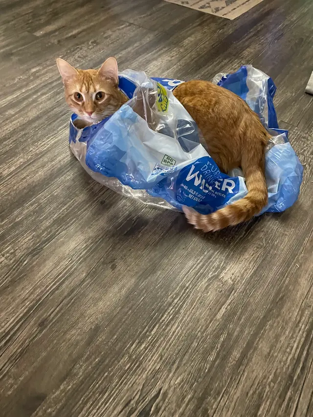 North Madison Animal Hospital — customer photo 4